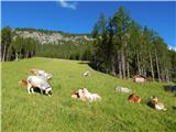 Lech da Sompunt - Col de Puez / Puezkofel